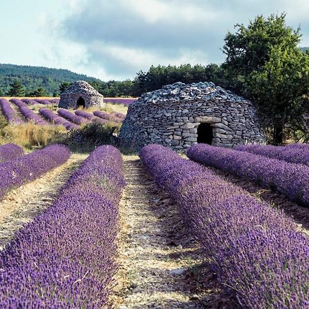 Le Cabanon Des Lavandes Entre Mont Ventoux Et Luberon ソー・ドゥ・ヴォクリューズ エクステリア 写真